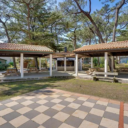 Amazing In La Faute-sur-Mer