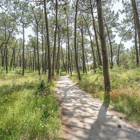 Amazing In La Faute-sur-Mer