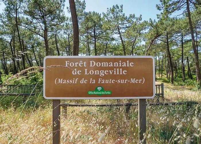 Amazing In La Faute-sur-Mer