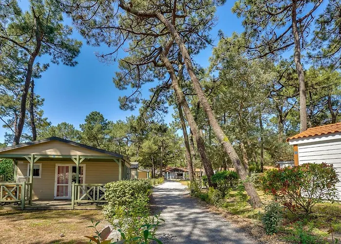 Amazing In Semesterbostad La Faute-sur-Mer